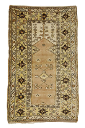 Bozyer / 4x6 Muted Vintage Wool Area Rug Front Side