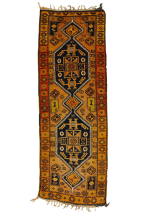 Sere Kani / 3x9 Vintage Kurdish Rustic Rug Runner Front Side